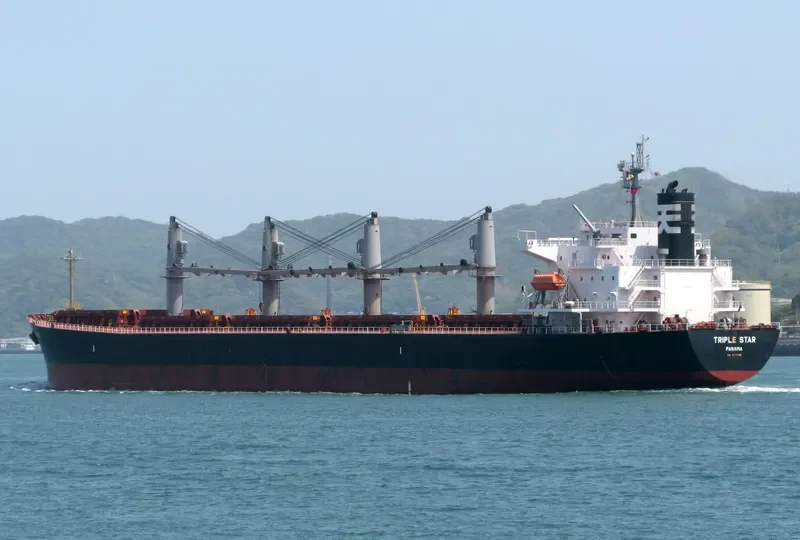 SAMIR Bulk Carrier IMO 9317133 photo 7