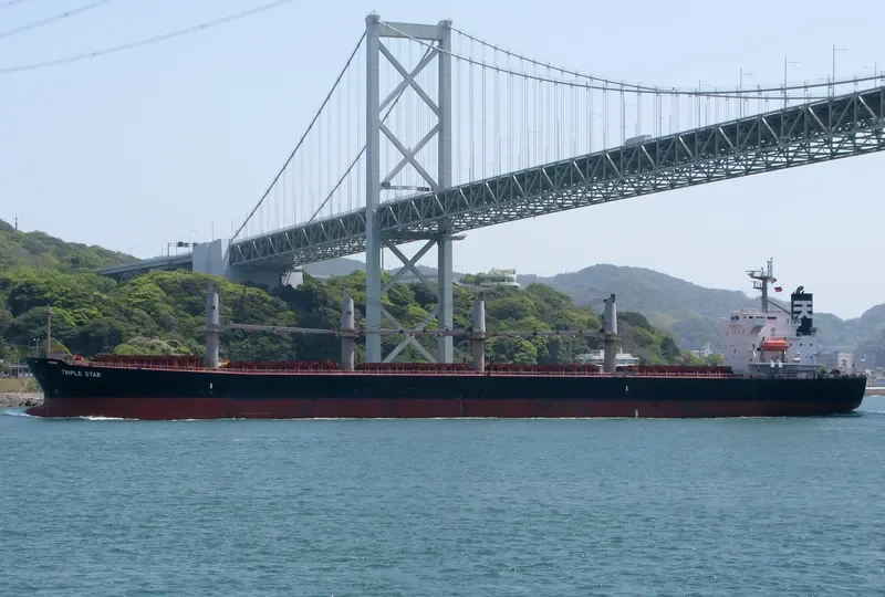 SAMIR Bulk Carrier IMO 9317133 photo 8