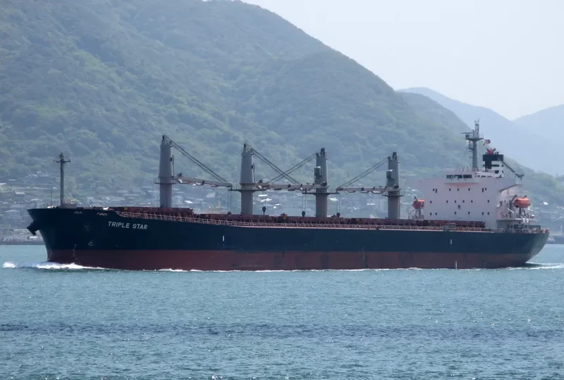 SAMIR Bulk Carrier IMO 9317133 photo 9