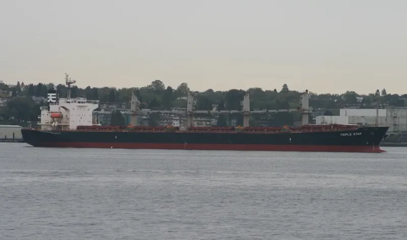 SAMIR Bulk Carrier IMO 9317133 photo 10