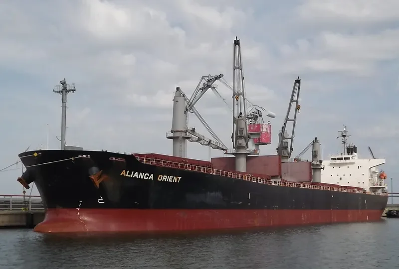 JAG ROOPA Bulk Carrier IMO 9317145 photo 3