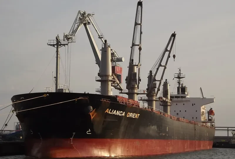 JAG ROOPA Bulk Carrier IMO 9317145 photo 6