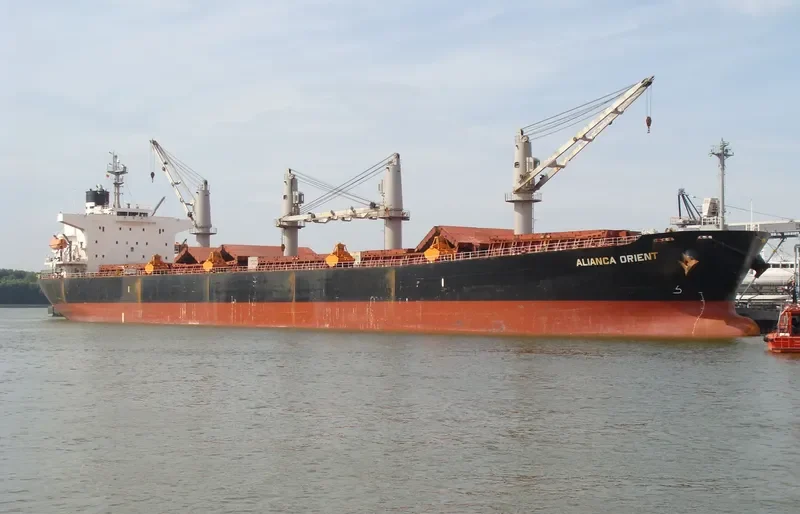 JAG ROOPA Bulk Carrier IMO 9317145 photo 8