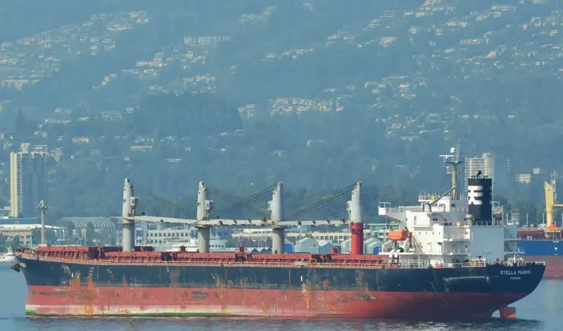 HAI NAM 82 Bulk Carrier IMO 9317157