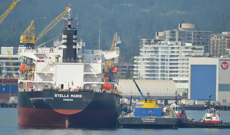HAI NAM 82 Bulk Carrier IMO 9317157 photo 2