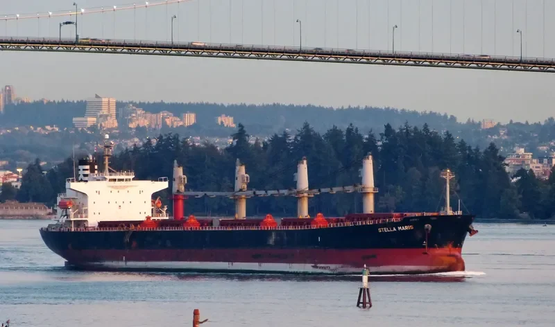 HAI NAM 82 Bulk Carrier IMO 9317157 photo 3