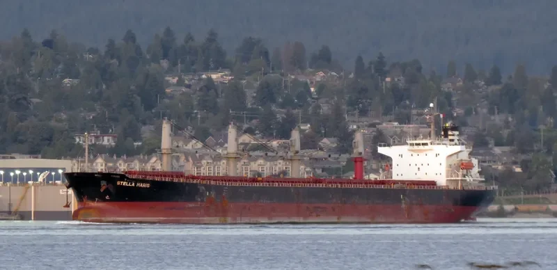 HAI NAM 82 Bulk Carrier IMO 9317157 photo 5