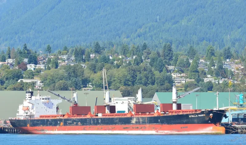 HAI NAM 82 Bulk Carrier IMO 9317157 photo 7