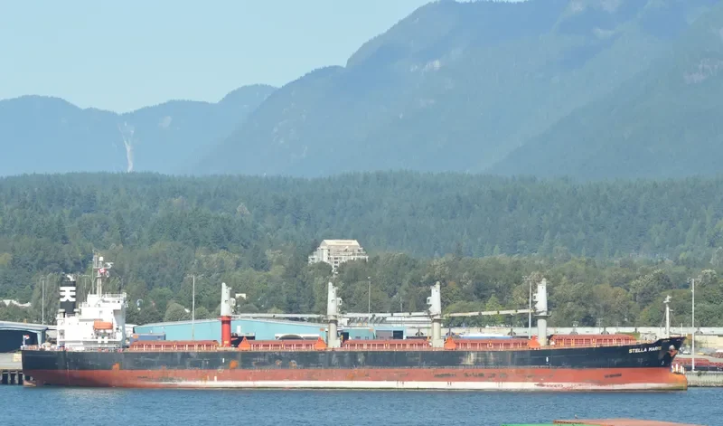HAI NAM 82 Bulk Carrier IMO 9317157 photo 9