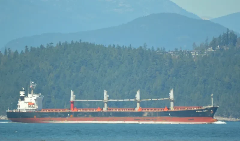 HAI NAM 82 Bulk Carrier IMO 9317157 photo 10