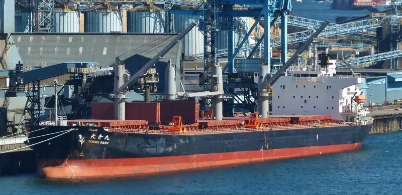ZUHAYR Bulk Carrier IMO 9317169 photo 2
