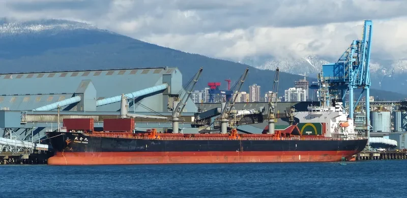 ZUHAYR Bulk Carrier IMO 9317169 photo 5