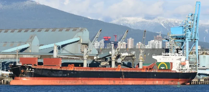 ZUHAYR Bulk Carrier IMO 9317169 photo 6