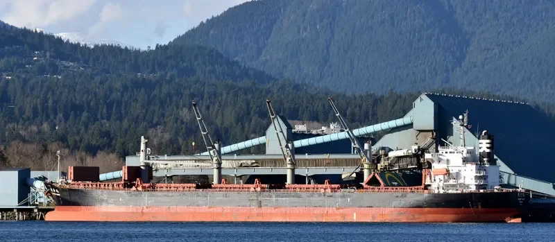 ZUHAYR Bulk Carrier IMO 9317169 photo 7