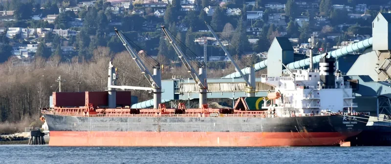 ZUHAYR Bulk Carrier IMO 9317169 photo 8