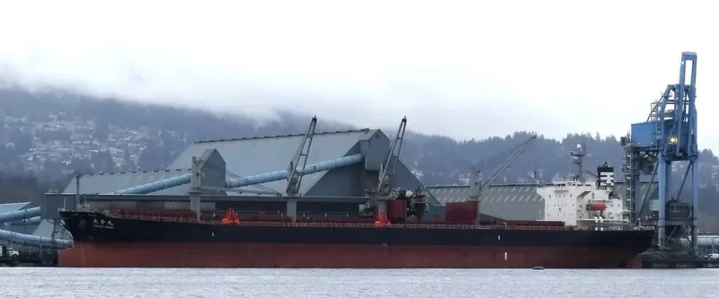 ZUHAYR Bulk Carrier IMO 9317169 photo 9