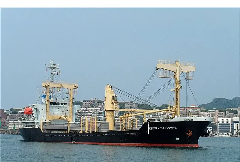 HAE JIN General Cargo IMO 9317224 photo 6