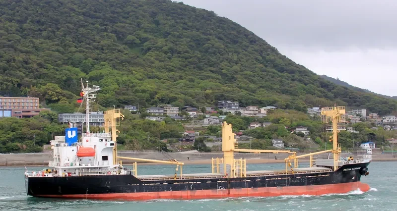 HAE JIN General Cargo IMO 9317224 photo 10