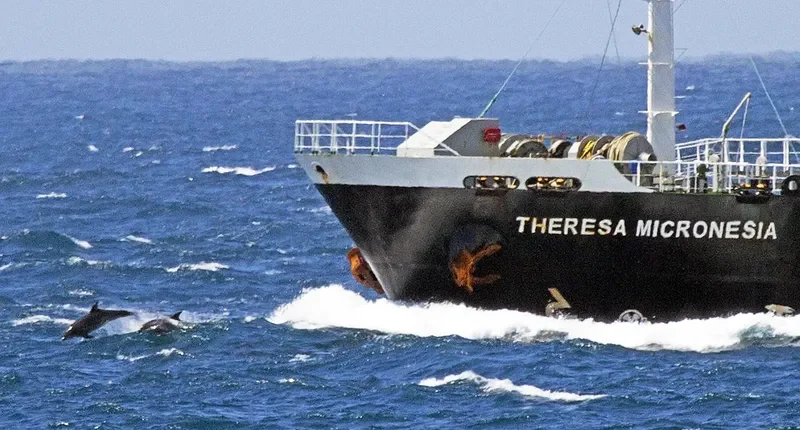 THERESA MICRONESIA Tanker IMO 9317250 photo 7