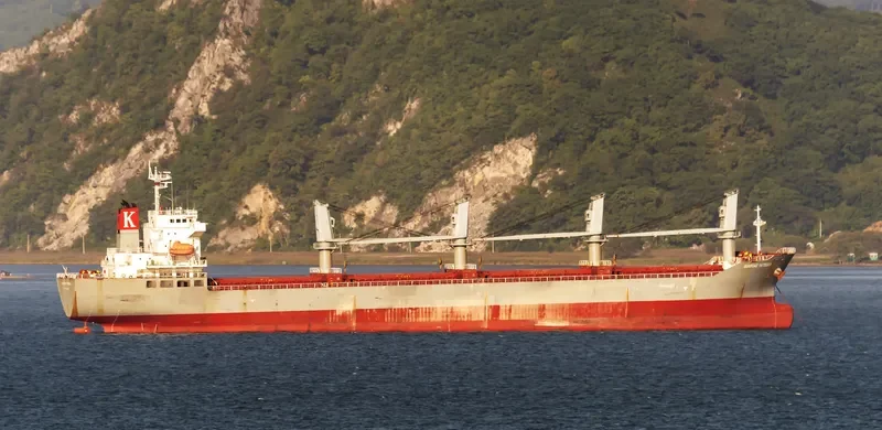 SUNROAD YATSUKA Bulk Carrier IMO 9317274 photo 2