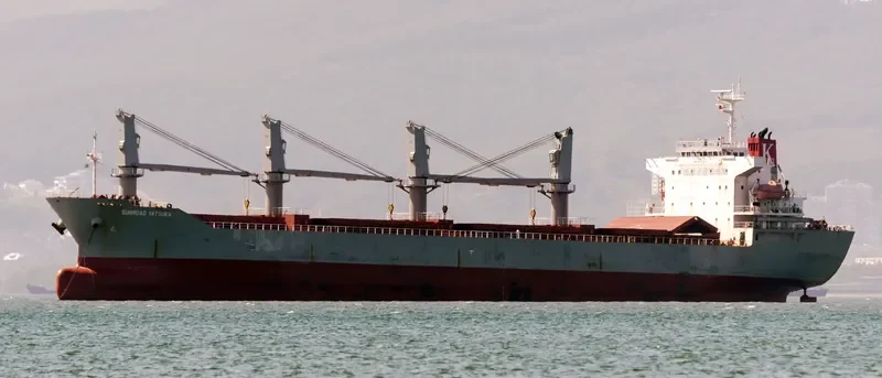 SUNROAD YATSUKA Bulk Carrier IMO 9317274 photo 3