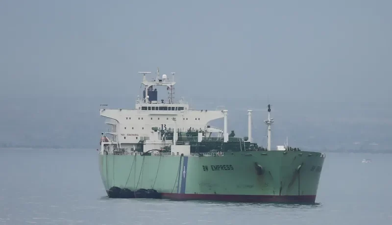 BW EMPRESS General Cargo IMO 9317298 photo 3