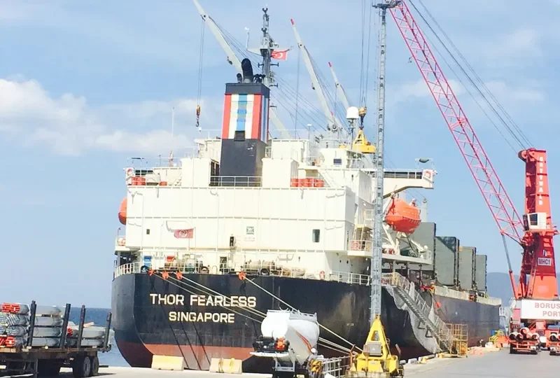 THOR FEARLESS Bulk Carrier IMO 9317341 photo 3