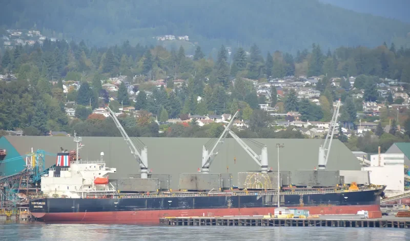 THOR FEARLESS Bulk Carrier IMO 9317341 photo 4