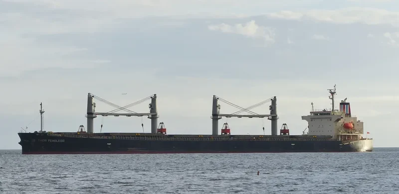 THOR FEARLESS Bulk Carrier IMO 9317341 photo 8