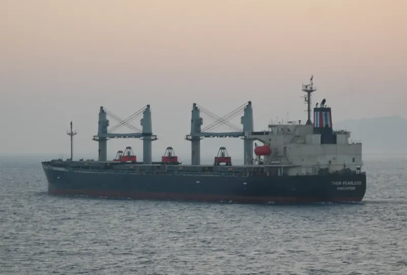 THOR FEARLESS Bulk Carrier IMO 9317341 photo 9