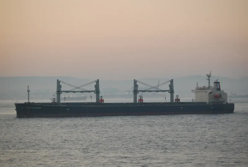 THOR FEARLESS Bulk Carrier IMO 9317341 photo 10