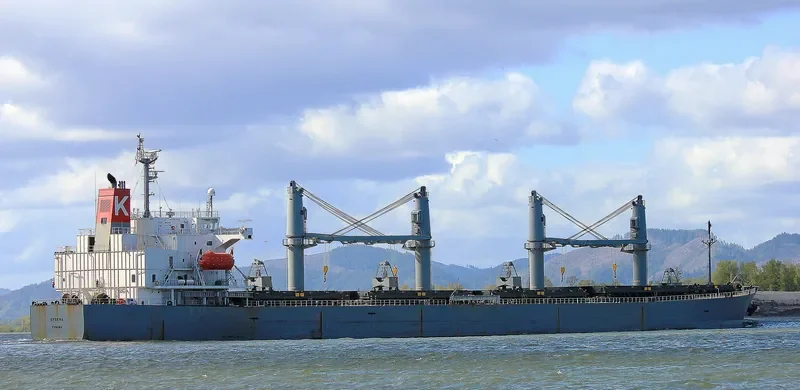 SPARNA Bulk Carrier IMO 9317353