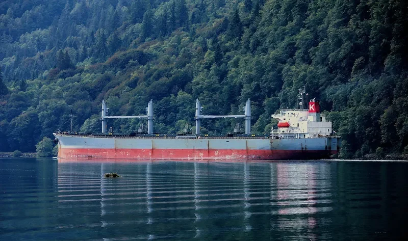 SPARNA Bulk Carrier IMO 9317353 photo 4
