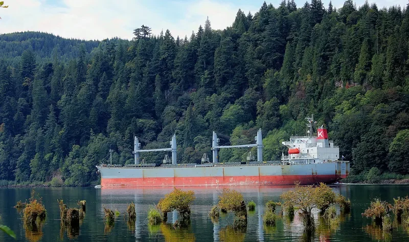 SPARNA Bulk Carrier IMO 9317353 photo 6