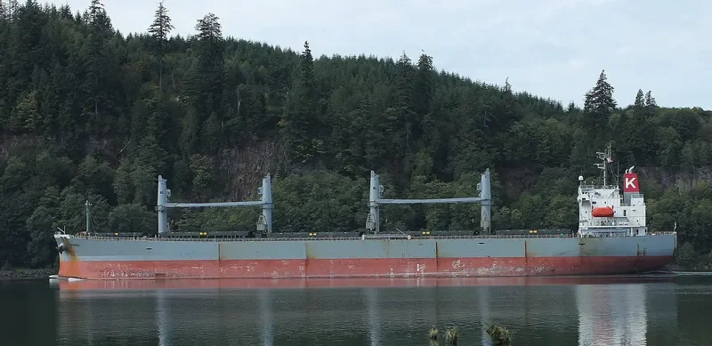 SPARNA Bulk Carrier IMO 9317353 photo 7