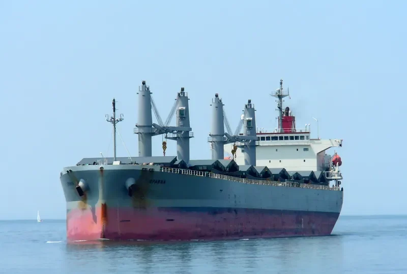 SPARNA Bulk Carrier IMO 9317353 photo 9