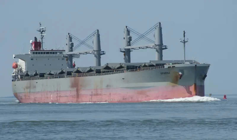 SPARNA Bulk Carrier IMO 9317353 photo 10