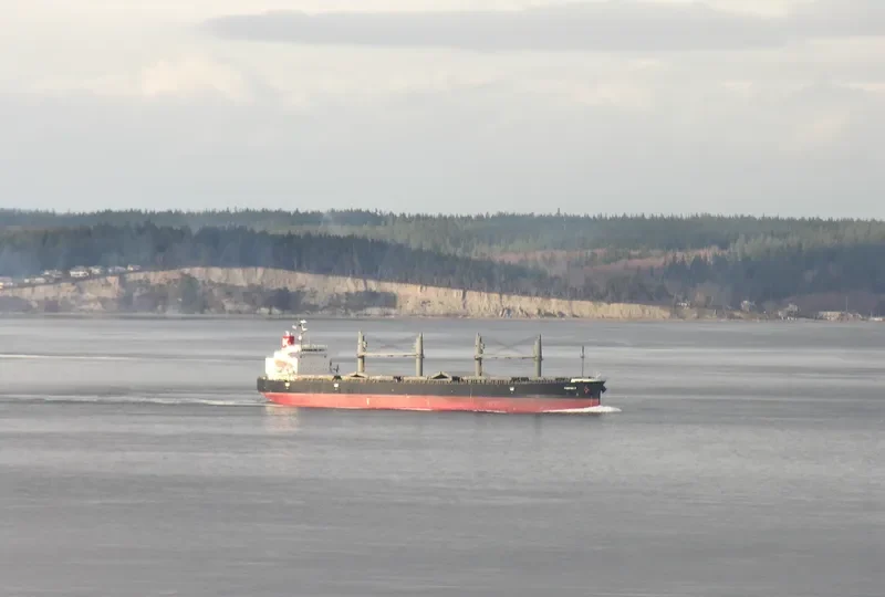 PHOENIX K Bulk Carrier IMO 9317365 photo 9