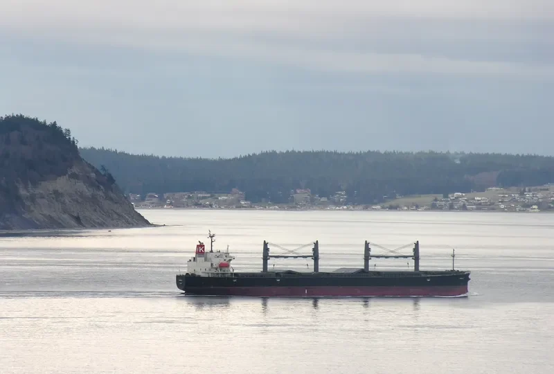 PHOENIX K Bulk Carrier IMO 9317365 photo 10