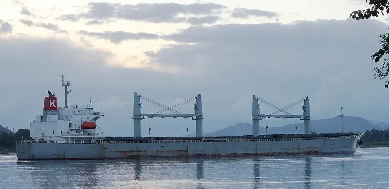 SUZAKU Bulk Carrier IMO 9317377