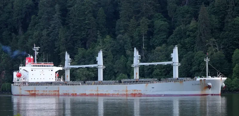 SUZAKU Bulk Carrier IMO 9317377 photo 2