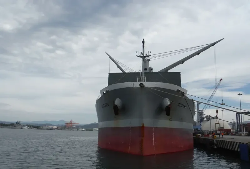 SUZAKU Bulk Carrier IMO 9317377 photo 4