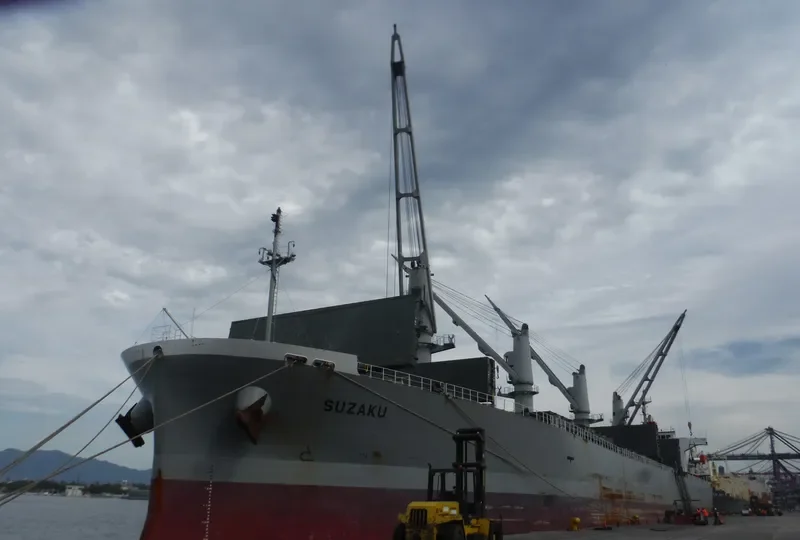 SUZAKU Bulk Carrier IMO 9317377 photo 5