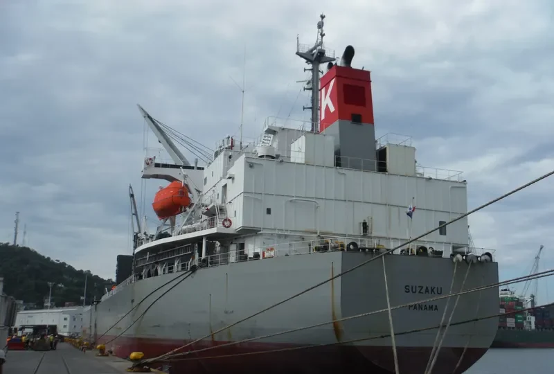 SUZAKU Bulk Carrier IMO 9317377 photo 6