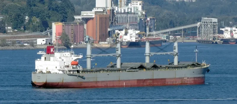 SUZAKU Bulk Carrier IMO 9317377 photo 7