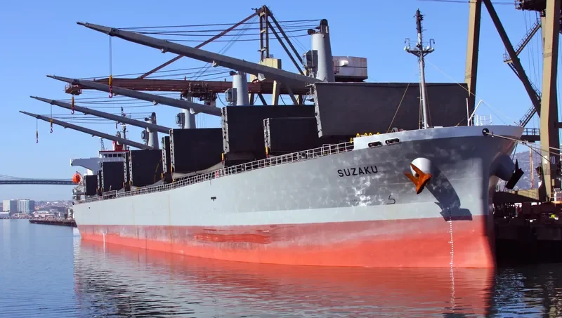 SUZAKU Bulk Carrier IMO 9317377 photo 9