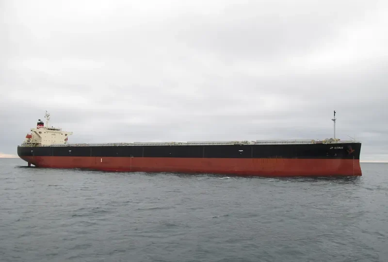 JAL VAIBHAV Bulk Carrier IMO 9317389 photo 5