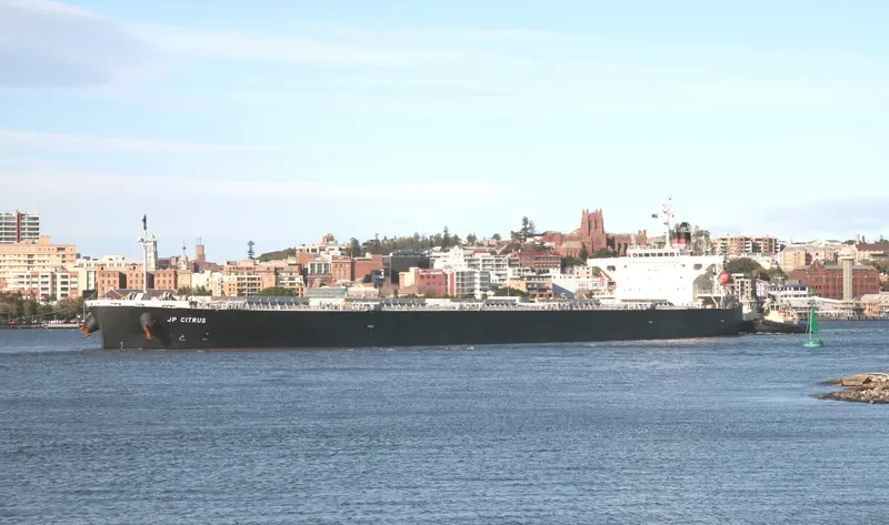 JAL VAIBHAV Bulk Carrier IMO 9317389 photo 7