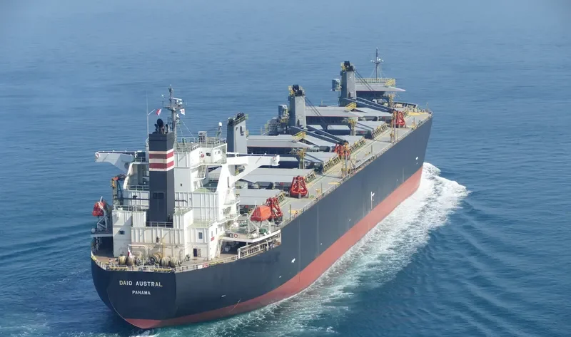 DAIO AUSTRAL Bulk Carrier IMO 9317391