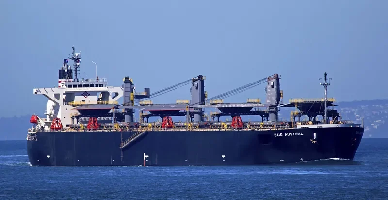 DAIO AUSTRAL Bulk Carrier IMO 9317391 photo 3